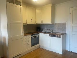 Sentral, HC-Friendly Apartment - Beitostøl - 8