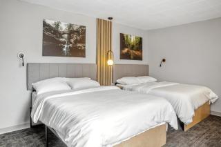 The Mulberry - Logan - 9