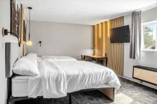 The Mulberry - Logan - 8