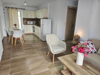 Buganvilla Home Zante - Lithakia - 8