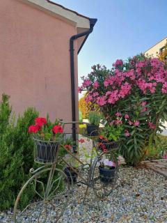 Villa Rosse - Poreč - 2