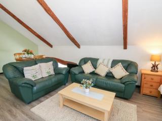 Loft apartment - Llandysul - 8
