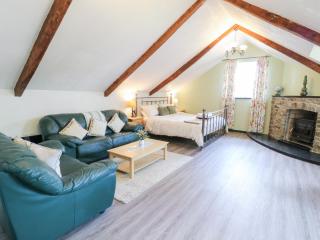 Loft apartment - Llandysul - 9