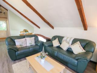 Loft apartment - Llandysul - 7