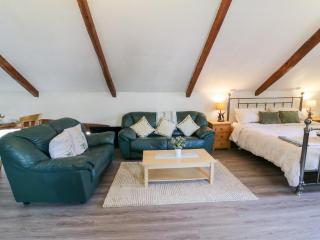 Loft apartment - Llandysul - 6