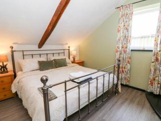 Loft apartment - Llandysul - 5