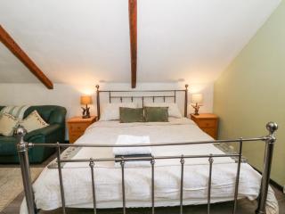 Loft apartment - Llandysul - 4