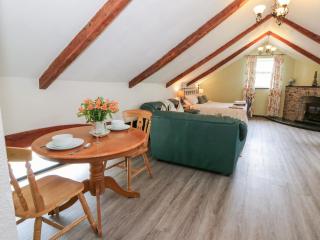 Loft apartment - Llandysul - 1