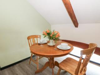 Loft apartment - Llandysul - 2