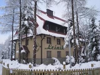 Ośrodek Edukacji Leśnej LEŚNIK w Zakopanem - Zakopane - 5