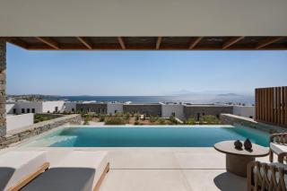 Vione Paros - Ambelas - 1