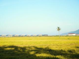 Caroline Farm - Phú Khê (1) - 2