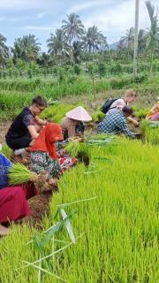 Gubuk Baru Homestay - Tetebatu - 1