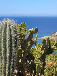 Villa Kouneli - an exceptional holiday - Koundouros - 4