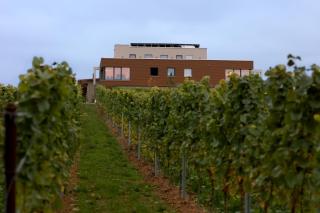 Vögelis WeinNest - Landau in der Pfalz - 2