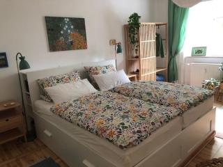 Ferienwohnung Hanseviertel - Erfurt - 0