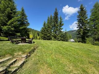 Almhütte -Chalet für 8 Personen in der Feldpann-ALm - Rauth - 7