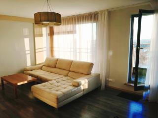 Gandriliškes Apartment - Klaipeda - 3