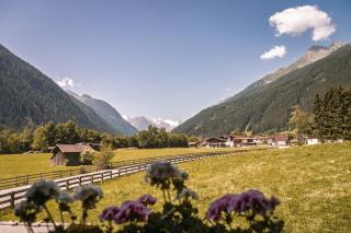 Alpenhaus Monte - 4