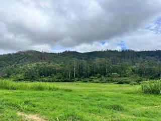 Azalea Hill Gardens - 7