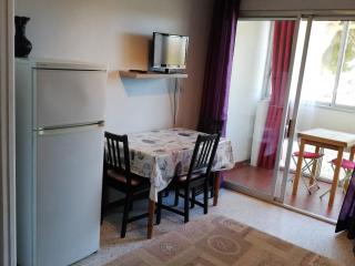Studio équipé pour 2 pers, loggia, vue parc, centre-ville. - FR-1-785-20 - Balaruc-les-Bains - 3