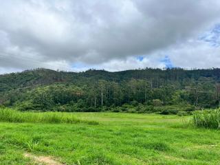 Azalea Hill Gardens - 9