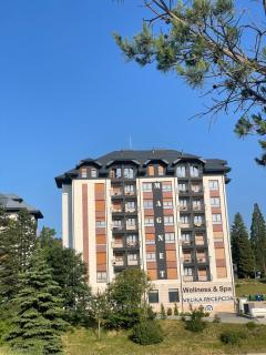 Apartman Natalijina Ramonda - Zlatibor - 2
