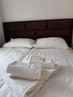Apartman Natalijina Ramonda - Zlatibor - 1