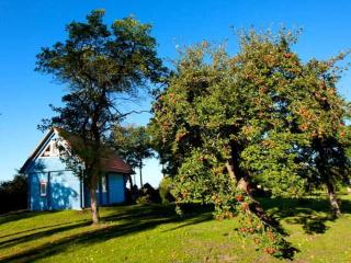 Ferienhaus Kranichblick mit Terrasse am Bodden - Neuendorf Heide - 8