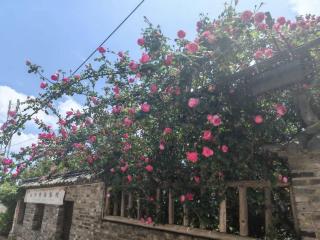 玉龙白沙普宿客栈 - Lijiang - 2