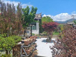 玉龙白沙普宿客栈 - Lijiang - 3
