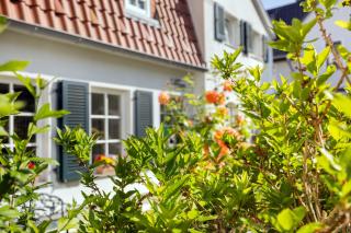 Haus mit 110qm und Garten 150m zum Wasser - Stralsund - 8