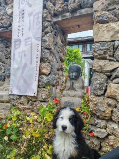 玉龙白沙普宿客栈 - Lijiang - 6