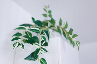 "Le 68GrandRue"Cosy-cour privative-Poitiers Centre - 7