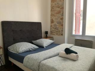 appartement palmiers 2 pieces - Antibes - 4