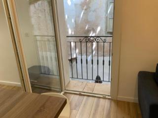 appartement palmiers 2 pieces - Antibes - 3