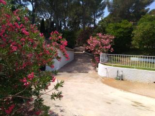 Appartements et villa BEGUDE - La Croix-Valmer - 8