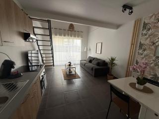 Superbe F2 Duplex Cosy Zen proche Paris & Disneyland - 6