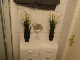 Ferienwohnungen an der Geraaue - 1