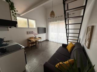 Superbe F2 Duplex Proche Paris & Disneyland - 5