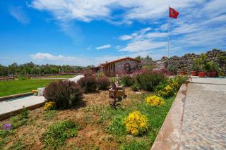 Ayvalık Yeşil İnci - Ayvalık - 6