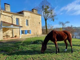 Polo estate with a river as a pool near Saint-Emilion - Guîtres - 3