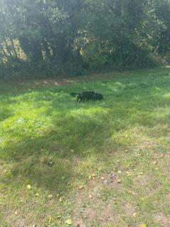 Active Recovery Retreat - Swynnerton - 2