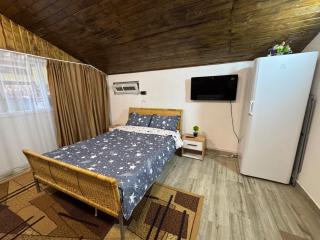 Casa Daria - Râmnicu Vâlcea - 4