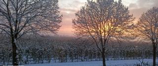 Fewo Apfel Striep - Steinkirchen - 0