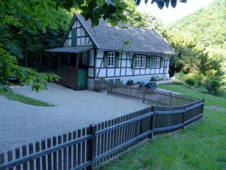 Waldhaus Staufenbergblick in Zorge - Walkenried - 9