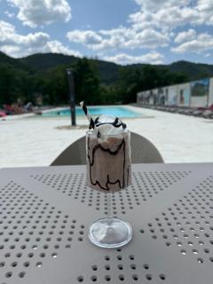 Vega Resort Restaurant & Lodge - Orşova - 9