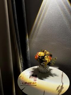 Апартаменты возле Барыс Арена, Центр крови, Ботанический сад - 6