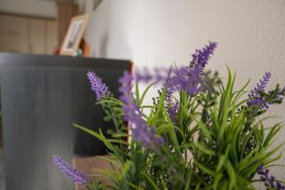 Eirini's apartment - Kanali - 5