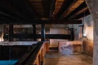 Tenuta di Fessina - 3